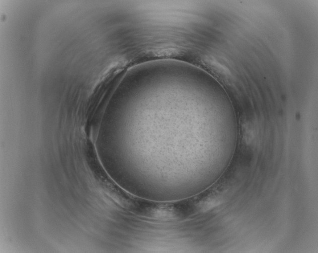 X0000089700308200706211325