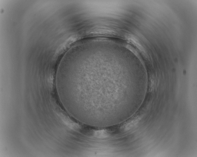 X0000089700309200706211325