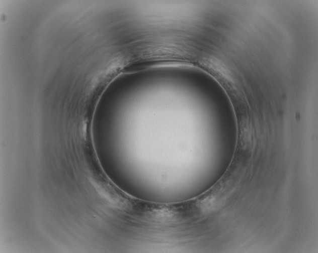 X0000089700310200706211325