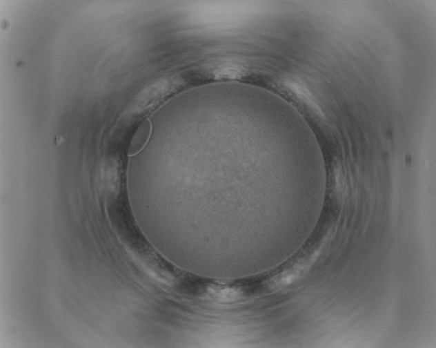 X0000089700311200706211325