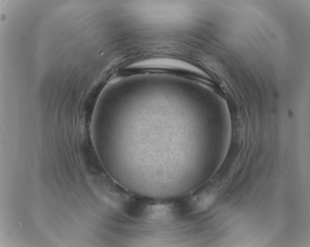 X0000089700312200706211325