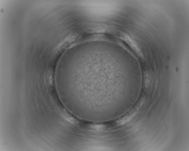 X0000089700313200706211325