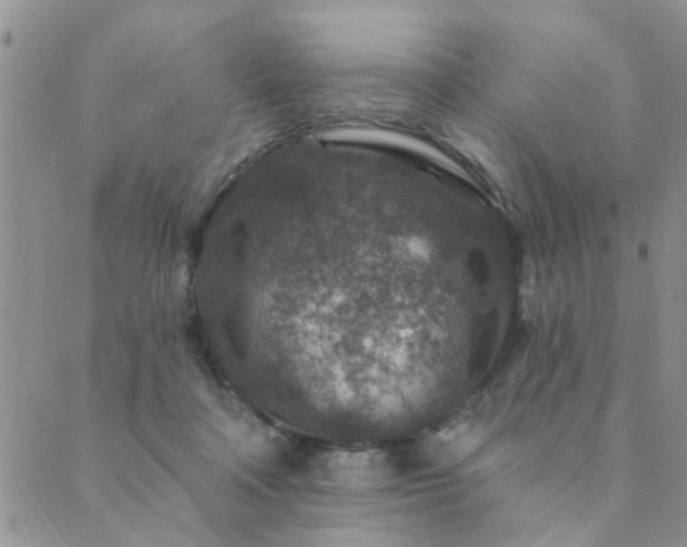 X0000089700314200706211325