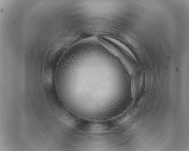 X0000089700315200706211325