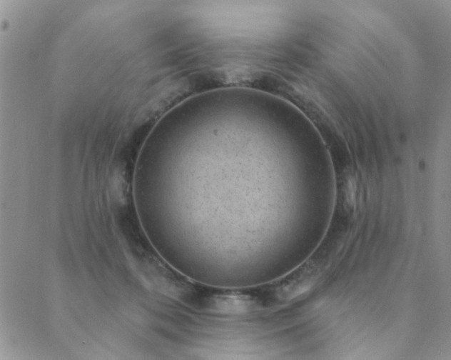 X0000089700316200706211325