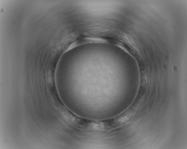 X0000089700317200706211325