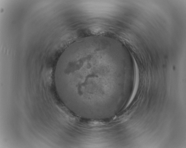 X0000089700319200706211325