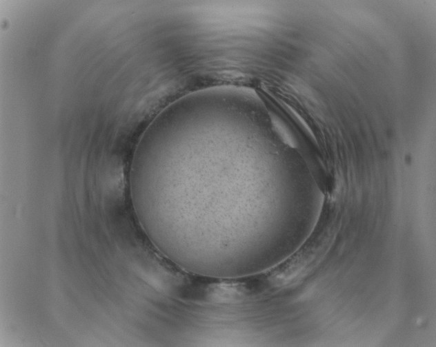 X0000089700320200706211324