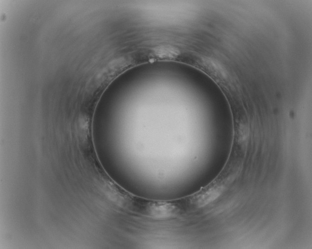 X0000089700321200706211324