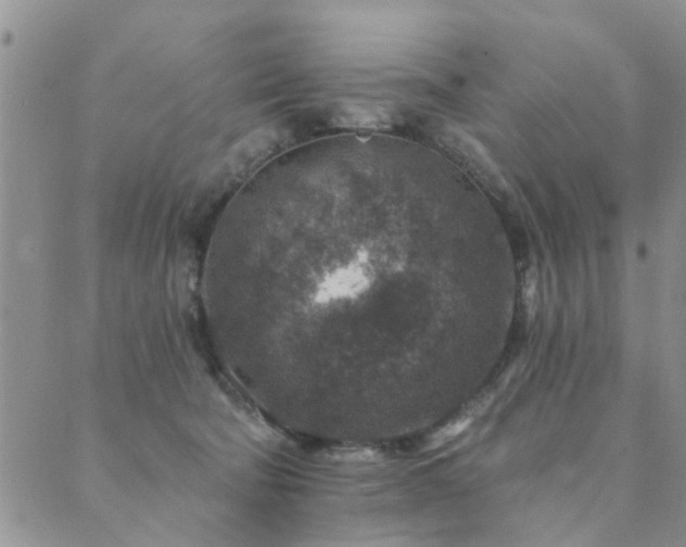 X0000089700322200706211324