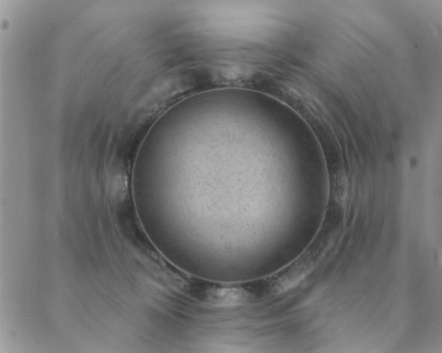 X0000089700324200706211324