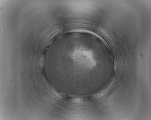 X0000089700325200706211324