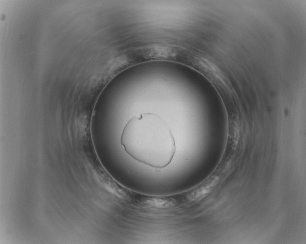 X0000089700326200706211324