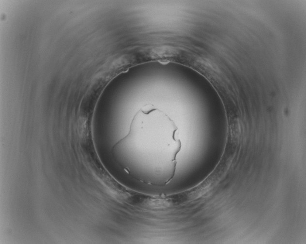 X0000089700327200706211324