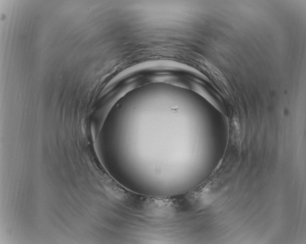 X0000089700329200706211324