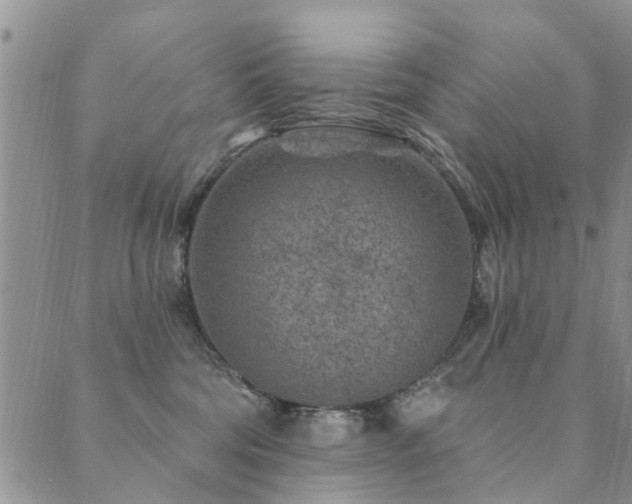 X0000089700330200706211324