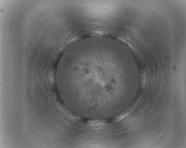 X0000089700331200706211324