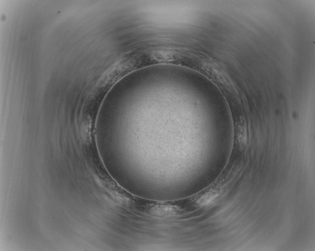 X0000089700332200706211324