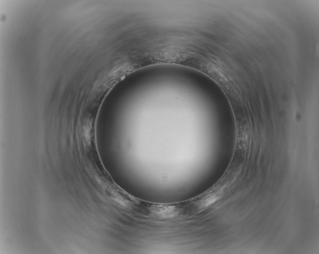 X0000089700334200706211324