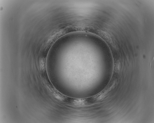 X0000089700335200706211324