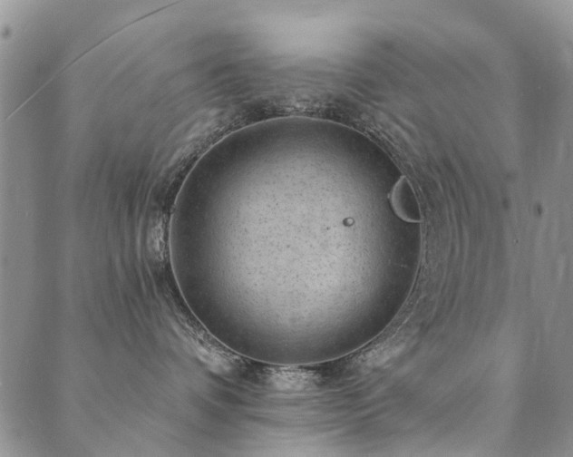 X0000089700336200706211324