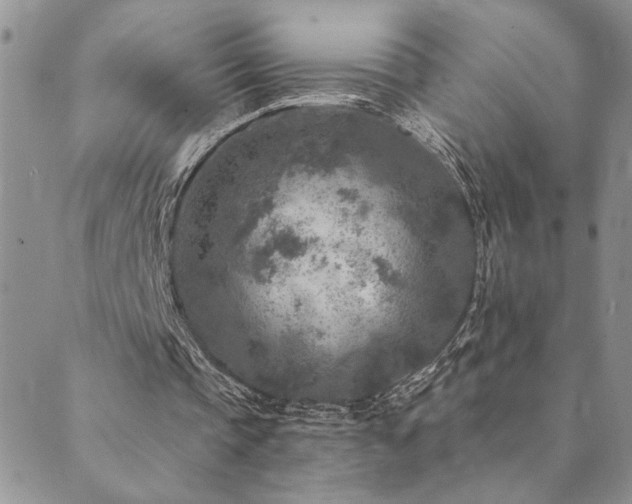 X0000089700337200706211323