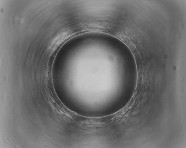 X0000089700338200706211323