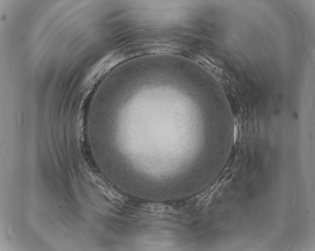 X0000089700339200706211323