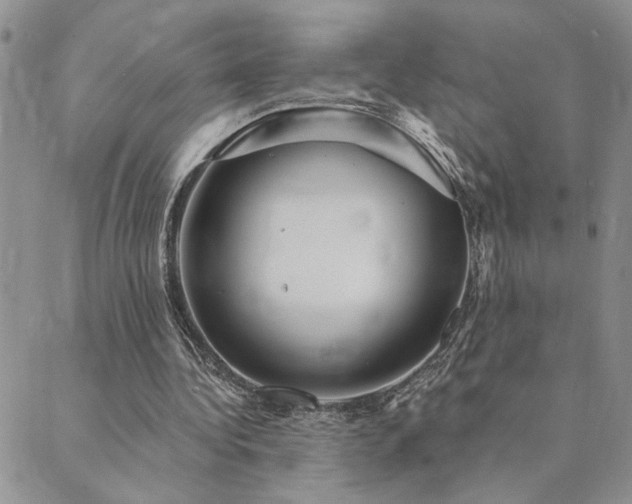 X0000089700340200706211323