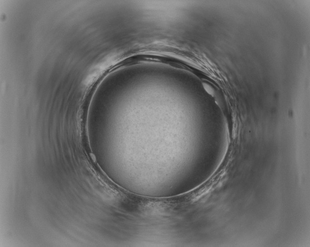 X0000089700341200706211324