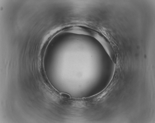 X0000089700342200706211324