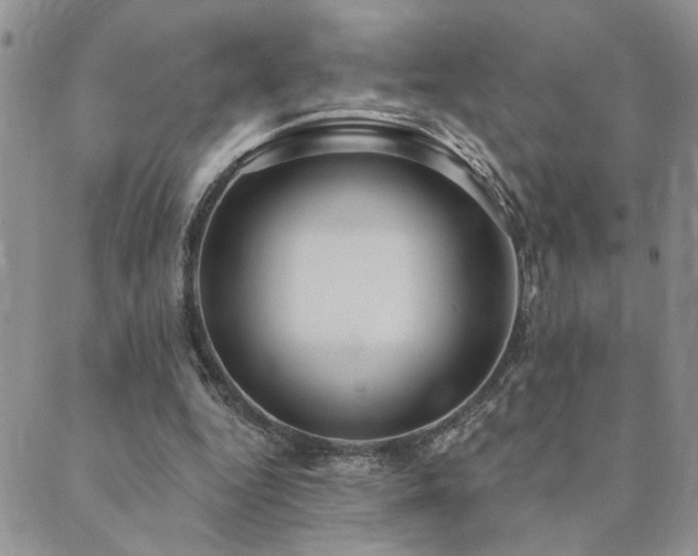 X0000089700344200706211324