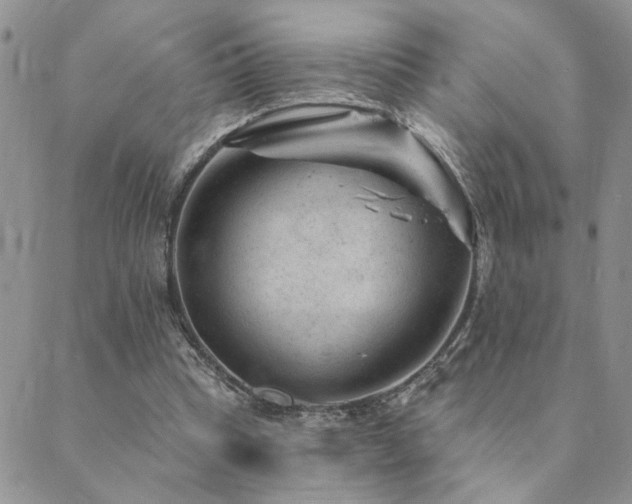 X0000089700345200706211324