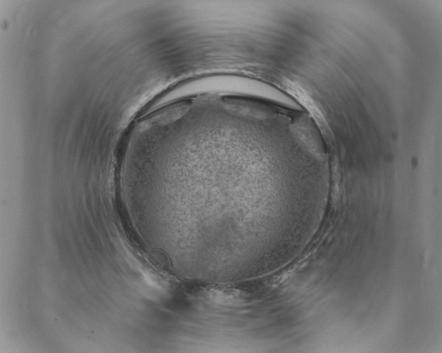 X0000089700346200706211324