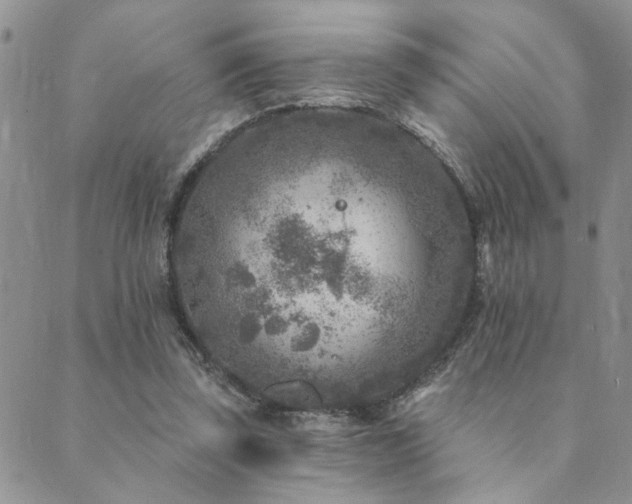 X0000089700347200706211324