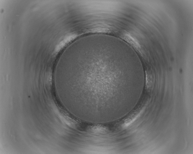 X0000089700348200706211324