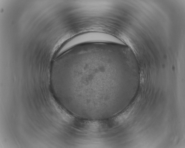 X0000089700349200706211324