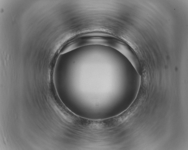 X0000089700350200706211324