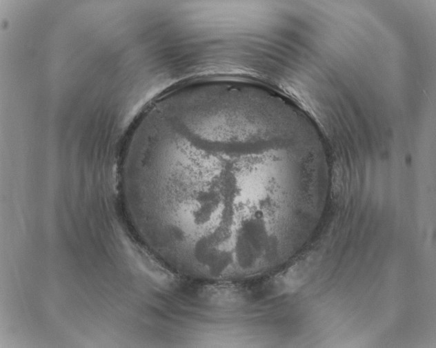 X0000089700351200706211324