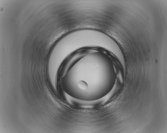 X0000089700352200706211324