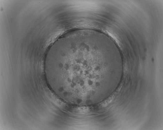 X0000089700353200706211324