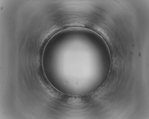 X0000089700354200706211324