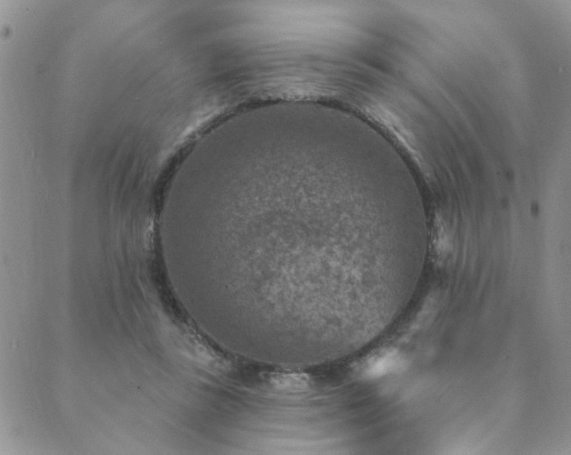 X0000089700355200706211324