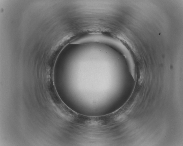 X0000089700356200706211324