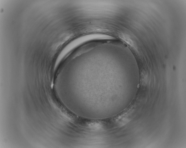 X0000089700358200706211324