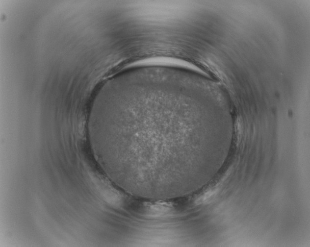 X0000089700359200706211324