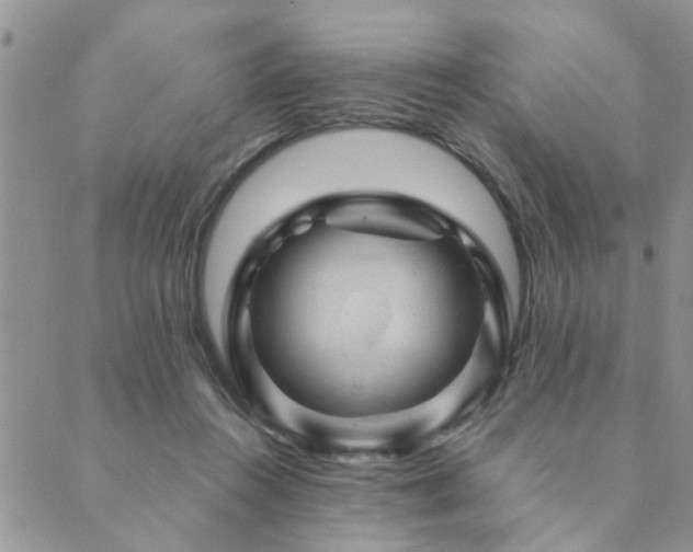 X0000089700360200706211324