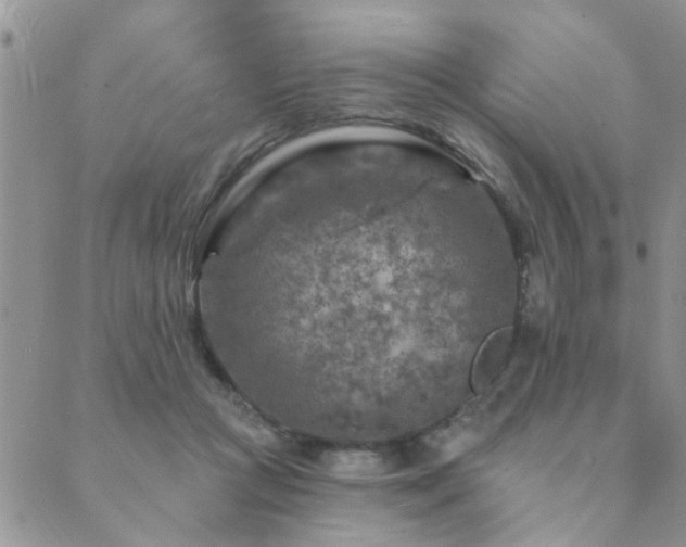 X0000089700361200706211324