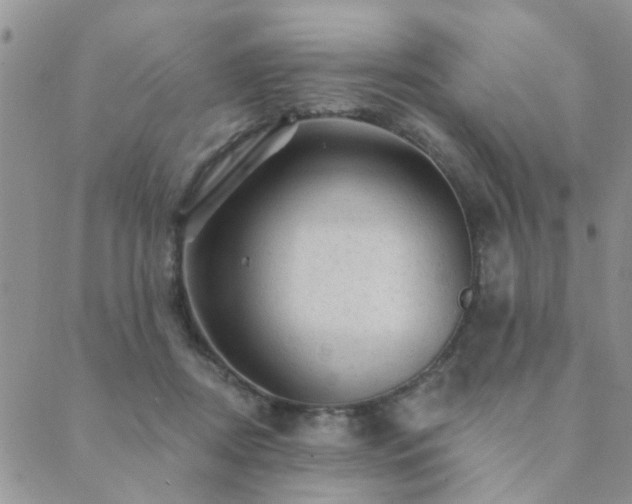 X0000089700362200706211324