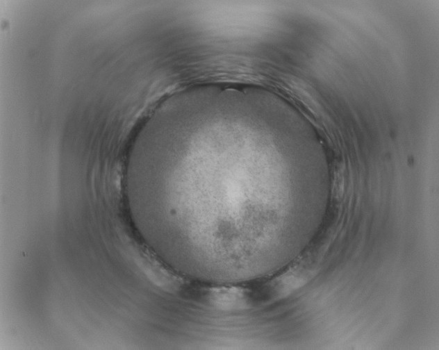 X0000089700363200706211324